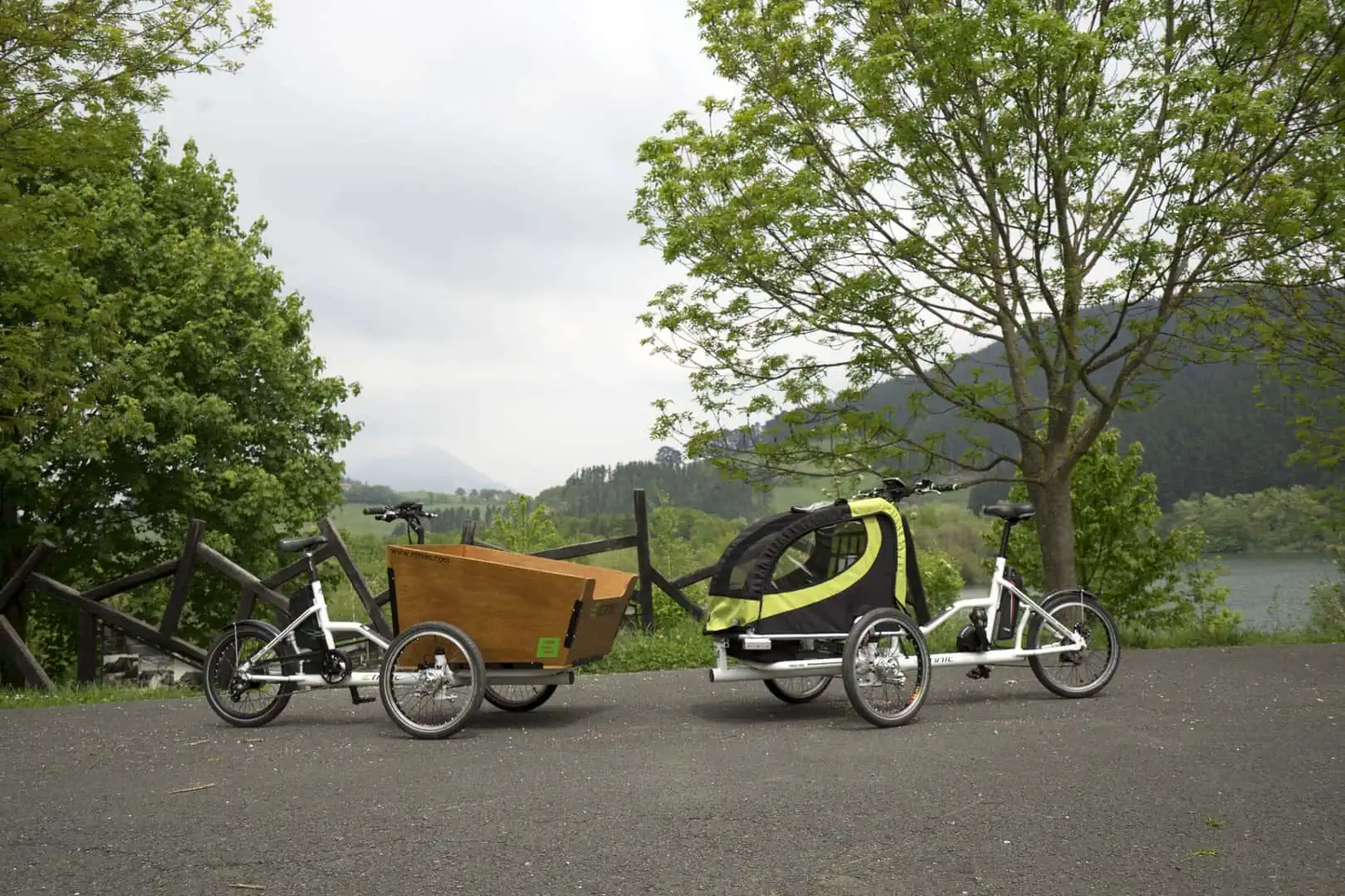 Etnnic Cargo Trike