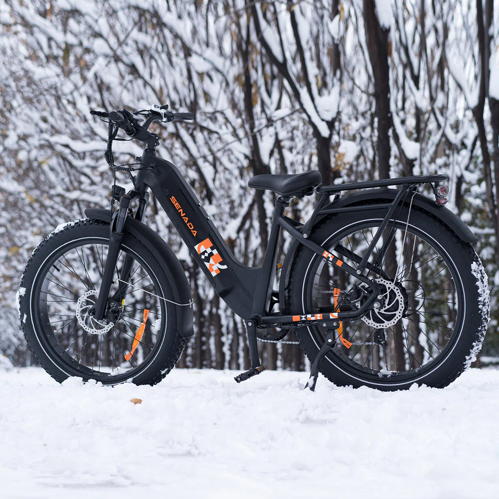 Senada Mayor All-terrain Fat Tire Electric Bike