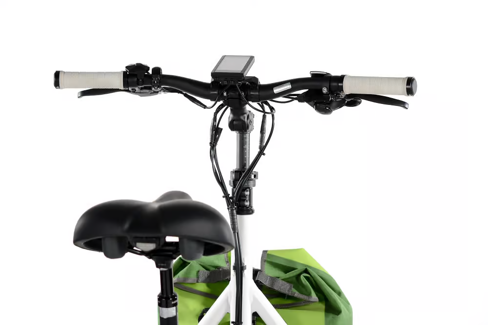 Etnnic Fat Trike 2.0