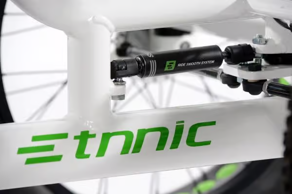 Etnnic Fat Trike 2.0