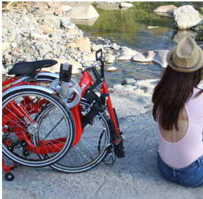 Di Blasi R32 - Folding Tricycle