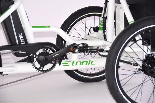 Etnnic Cargo Trike