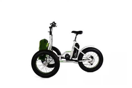 Etnnic Fat Trike 2.0